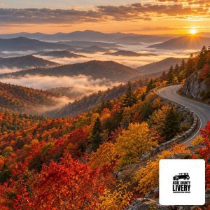 Peak Foliage Week: When and Where to See the Best Color in the High Country